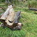 A Rustic Bench