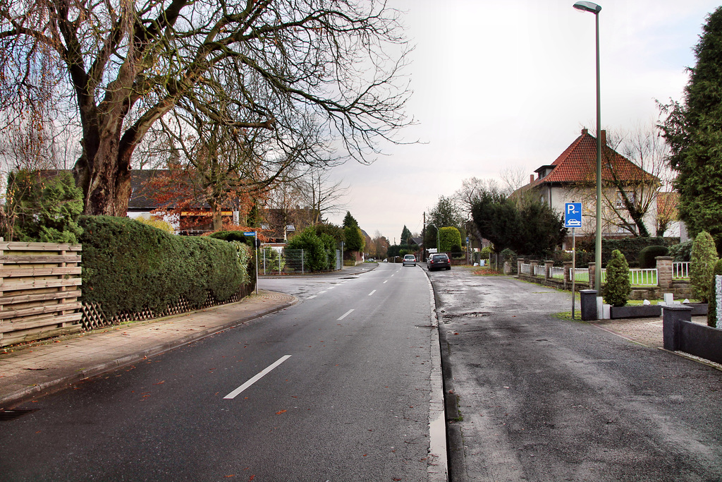 Mühlhauser Straße (Kamen-Heeren-Werve) / 25.11.2017