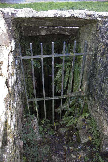 St Davids Well