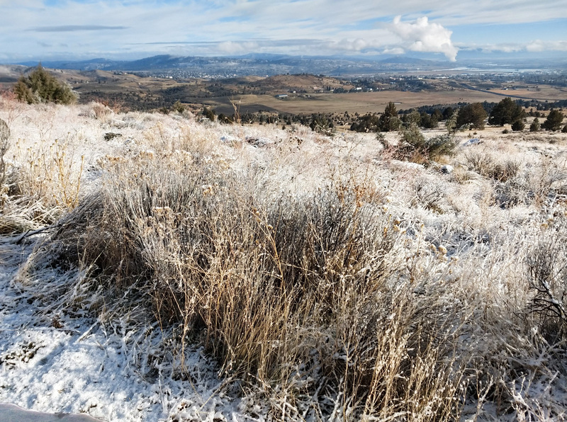 Light snow