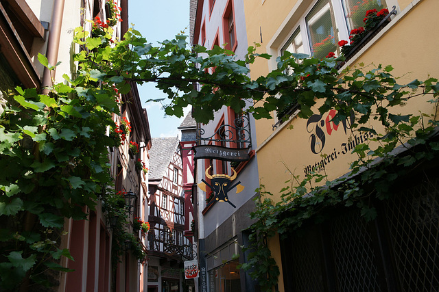 Flowers On Moselstrasse