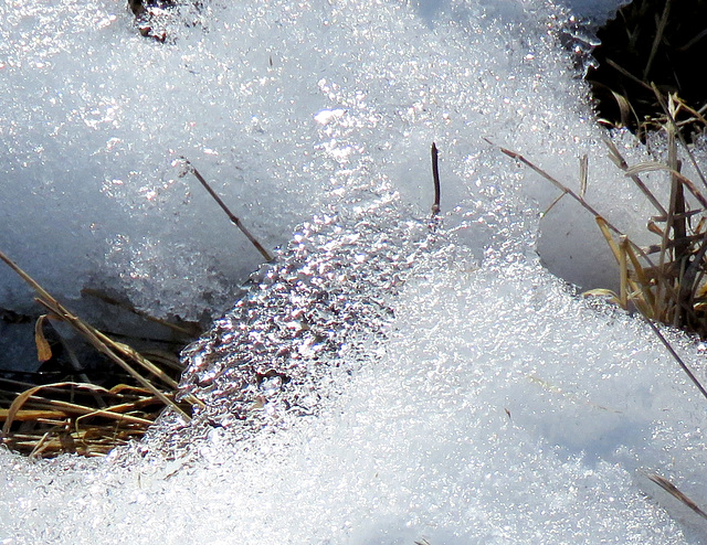 Ice lace.