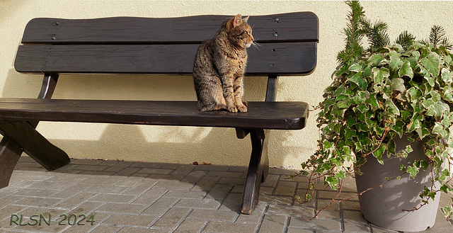 Happy Bench Monday!