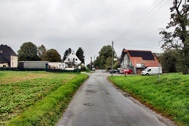 Hohlweg (Bönen) / 9.10.2023