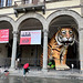 Lucca 2024 – Tiger