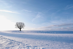 Winterlandschaft