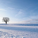 Winterlandschaft