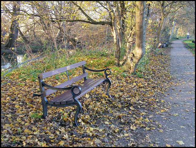 Trevor Lacey memorial seat