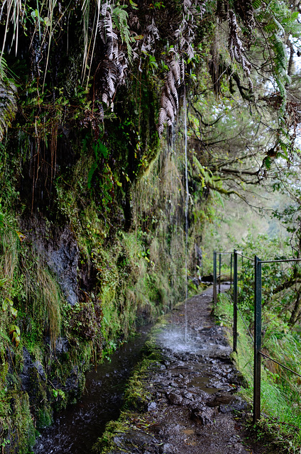 Weg der Wasserfälle