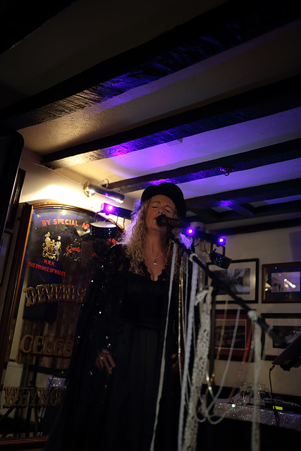 EOS 6D Peter Harriman 21 04 56 08576 StevieNicks unproc