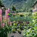 Garten im alten Dorf Bonneval-sur Arc (1800 müM)