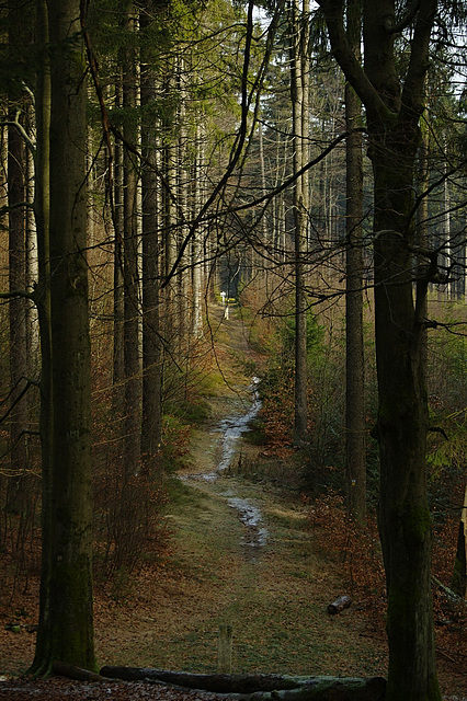 Auf der böhmischen Grenz.....