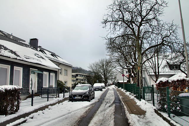 Habichtstraße (Hattingen-Bredenscheid) / 24.01.2021