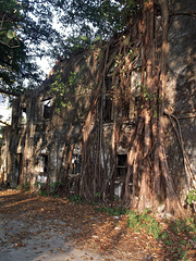 Car park à l'abandon