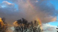 Evening Beauty. Evening Beauty.