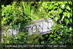 Looking for Sutton Drove - Seaford - 6.6.2015