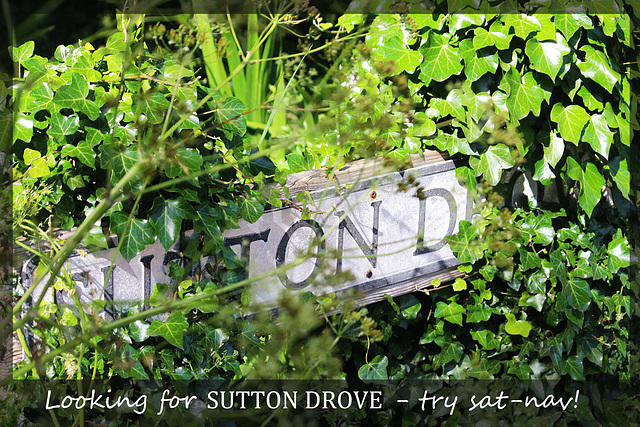 Looking for Sutton Drove - Seaford - 6.6.2015