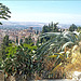 Granada Sacromonte