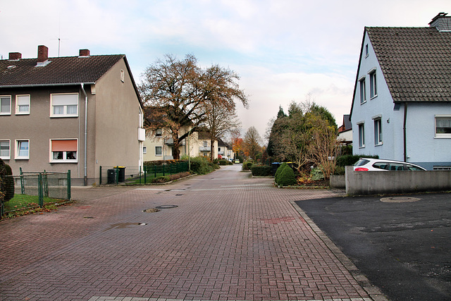 Zum Toedtfeld (Kamen-Heeren-Werve) / 25.11.2017