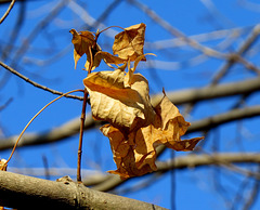 Crisp air produces strong contrasts