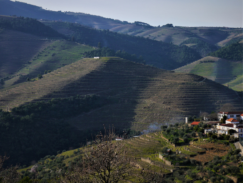 Douro