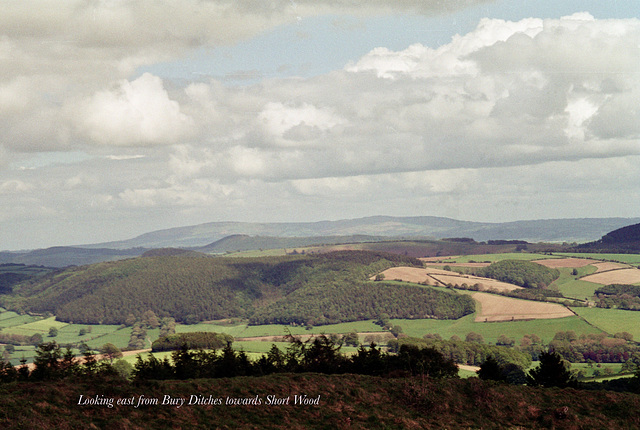 Looking east from Bury Ditches towards Short Wood (Scan from 2002)