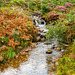 Snowdonia stream
