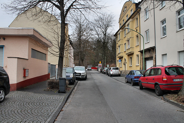 Im Mühlenwert (Hagen-Westerbauer) / 26.02.2017