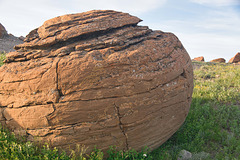 close up at Red Rock