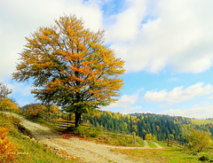 Crossroads