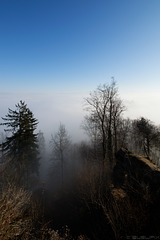 Uetliberg - knapp über der Nebegrenze (© Buelipix)