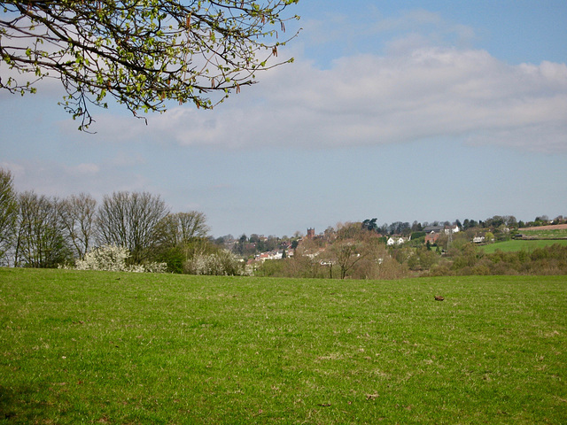 View towards the Church of St Bartholomew from footpath leaving Gospel Oak Road