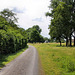 Weg zwischen Emscher und A42 (Bottrop-Ebel) / 9.06.2019