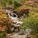 Snowdonia stream