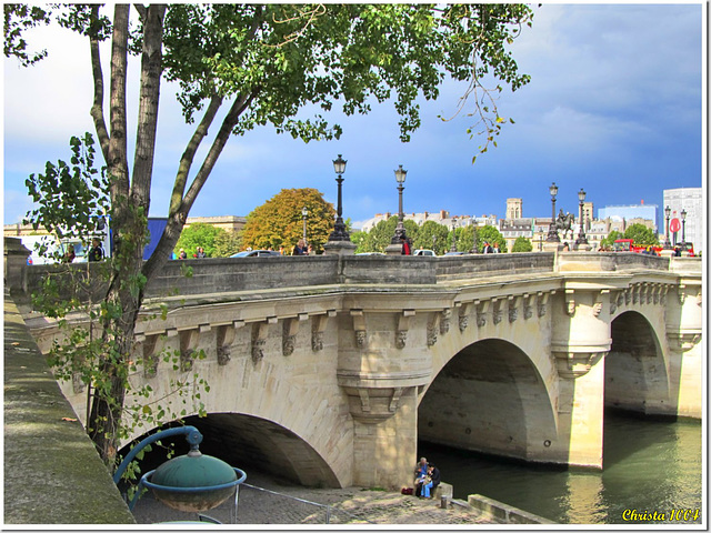 Le Pont Neuf est le plus vieux...