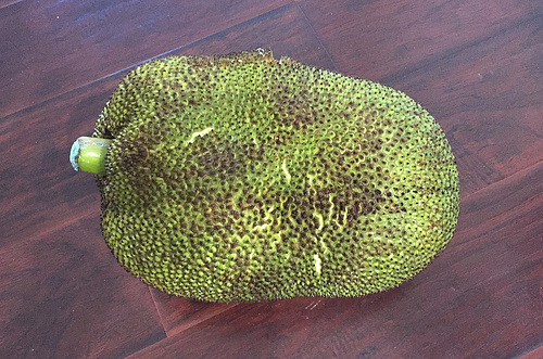 Jack Fruit