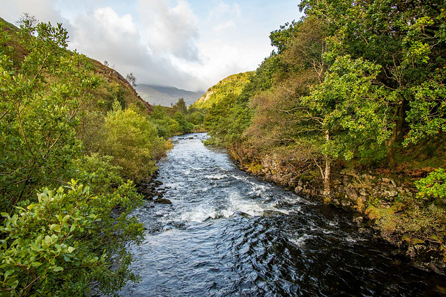 Afon Gwynant