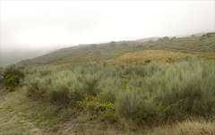 Parque Nacional da Peneda-Gerês, insert 2