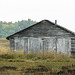 Old, wooden shed