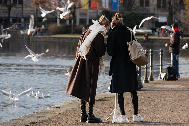 Nachmittags an der Binnenalster  - Hamburg