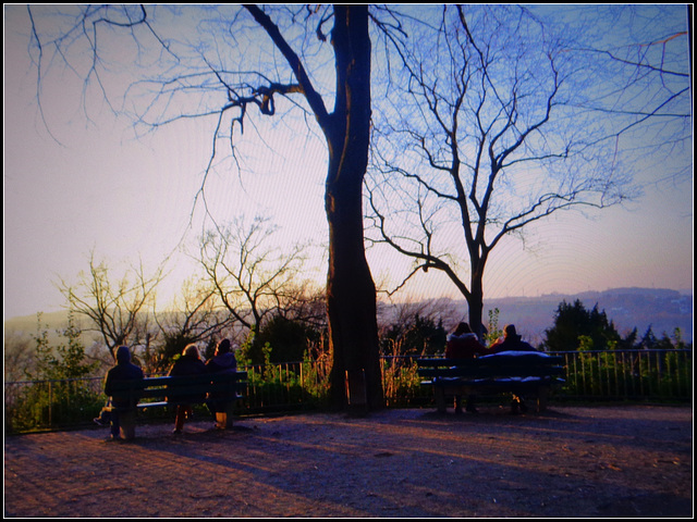 Two  Benches  five people