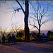 Two  Benches  five people