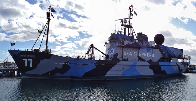 we visit the Sea Shepherd