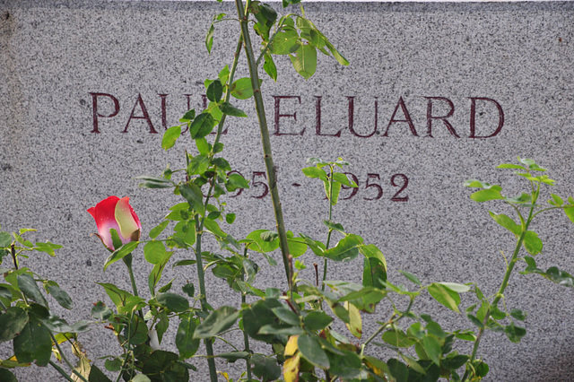 Paul Eluard (Poète)