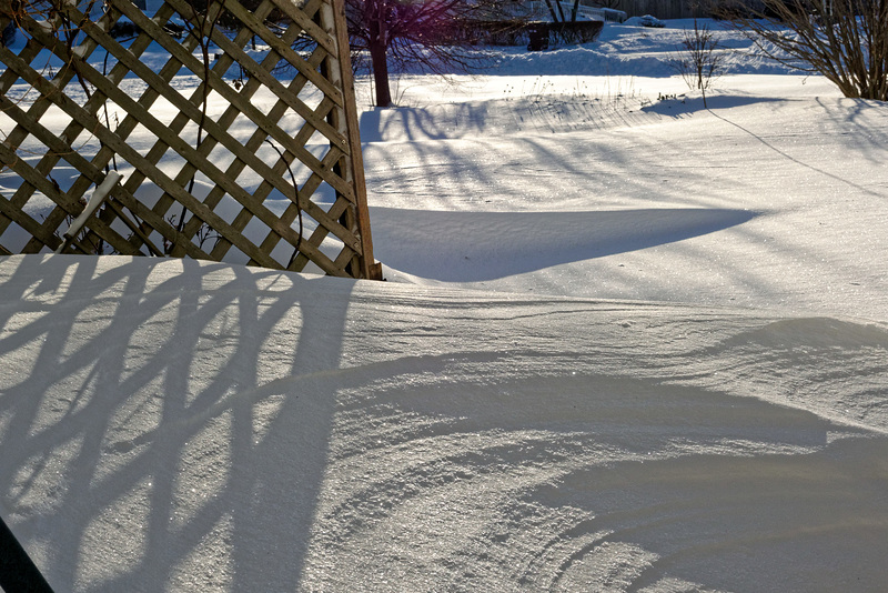 Ground Hog Day, with Snow