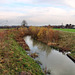 Renaturierte Seseke (Kamen-Heeren-Werve) / 25.11.2017