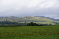 Blick aus dem Regen
