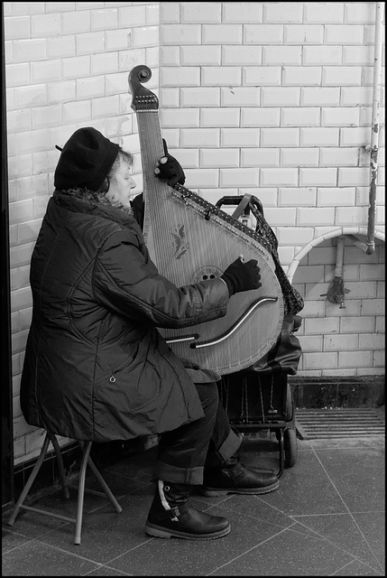 Concerto en mi(taines) majeur