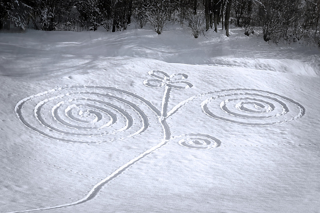 Snow Flower