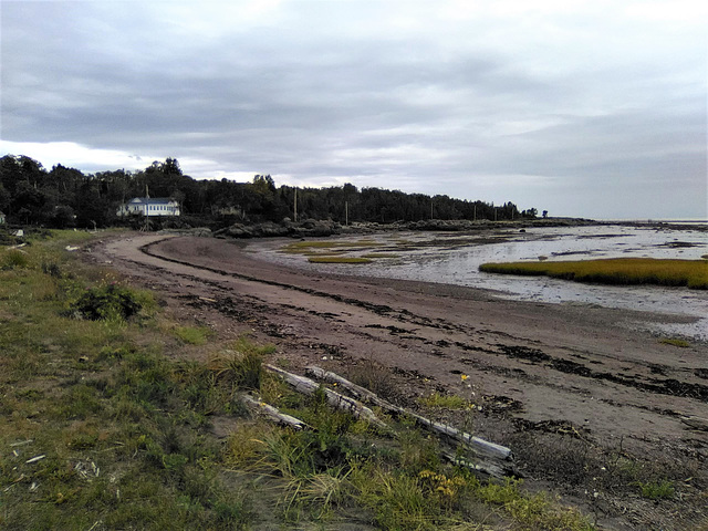 Rivage du bas du fleuve (Québec)